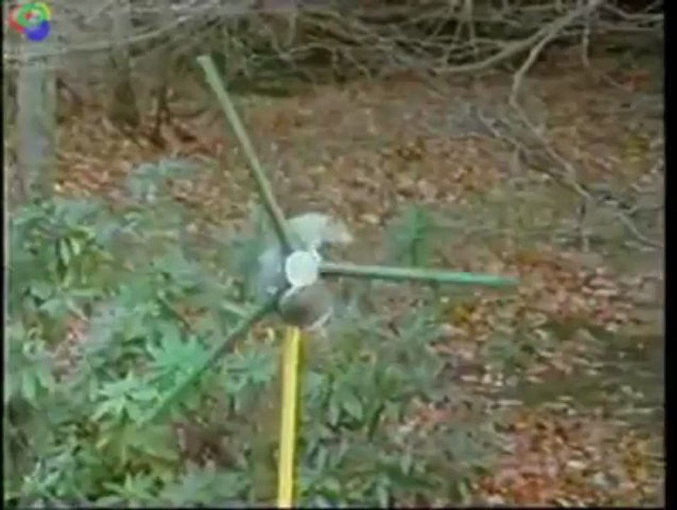 Grappige video.