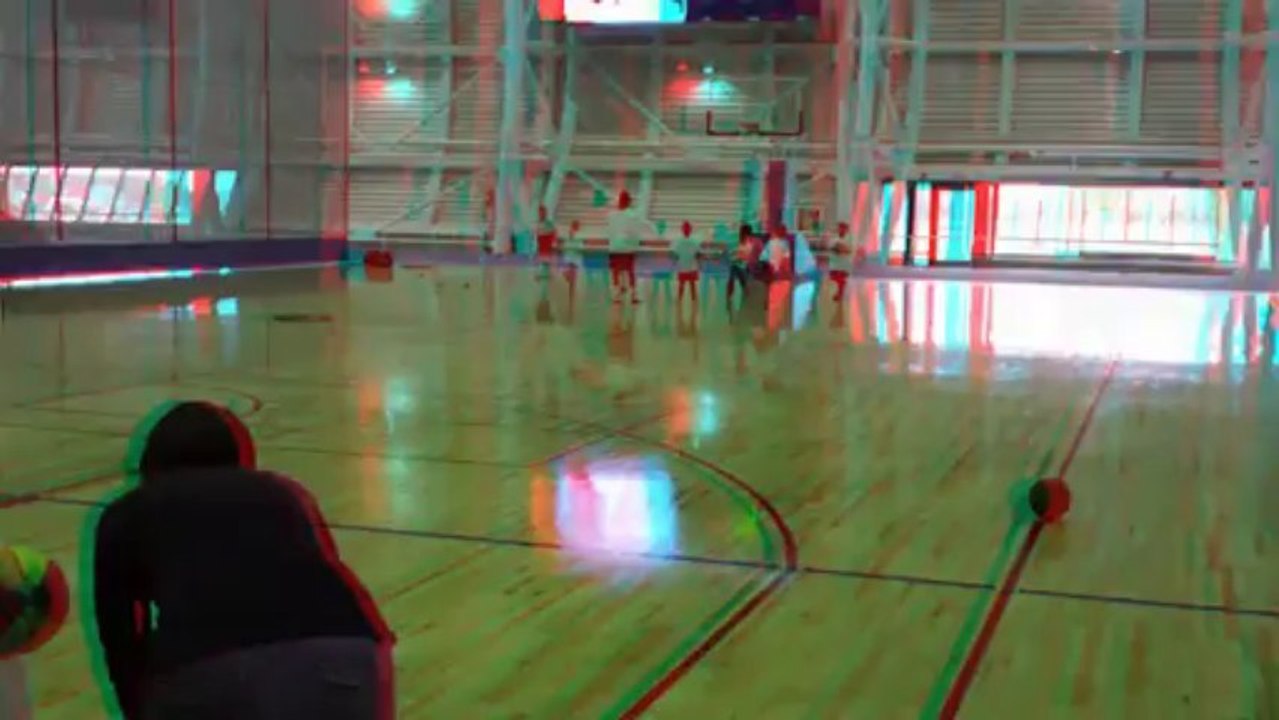 3D BASKET BALL