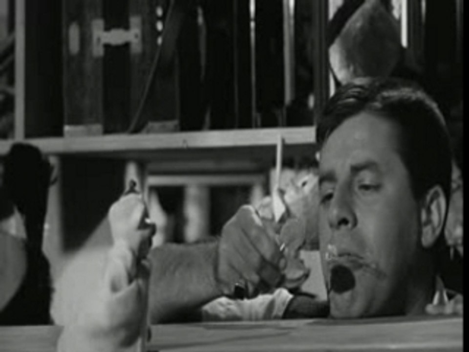 JERRY LEWIS The Errand Boy