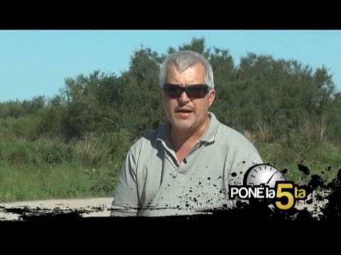 2013-11-06 - PONE LA QUINTA TV - 03