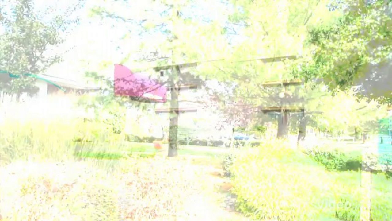 Scotch Hills Apartments in New Castle, DE - ForRent.com