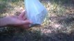 Best Biodegradable Dog Poop Bags - Quality Test Part Two, Results = No Tears or Bag Breaks!