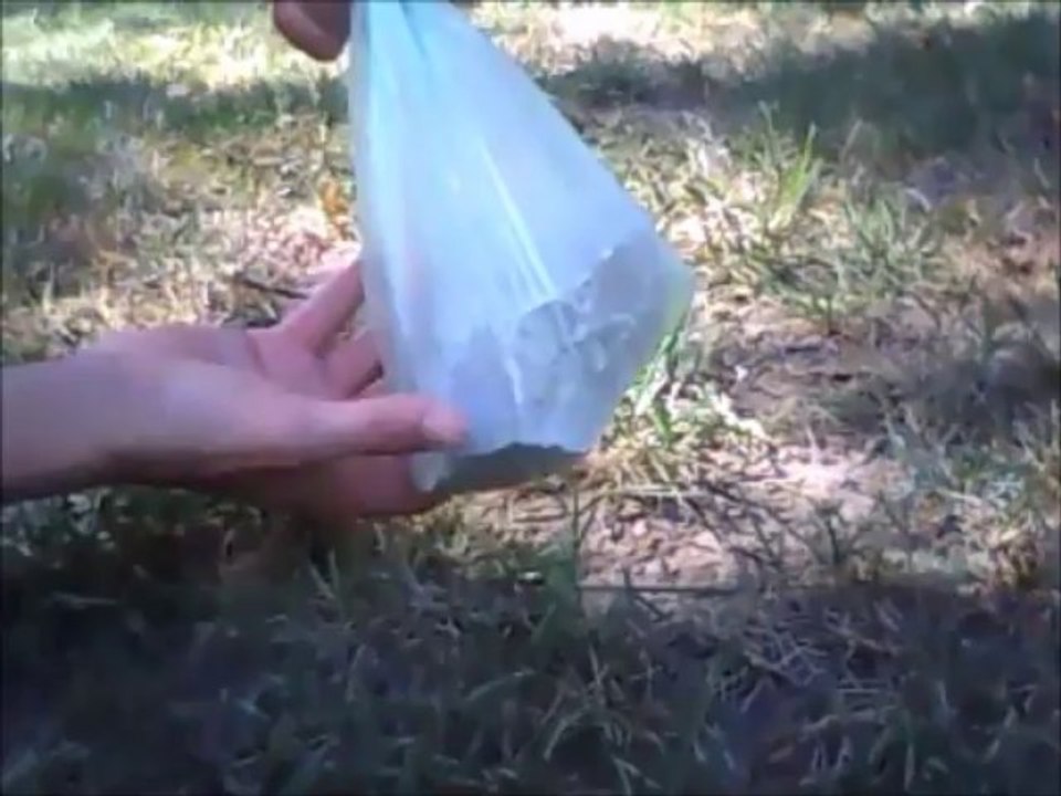 Best Biodegradable Dog Poop Bags - Quality Test Part Two, Results = No Tears or Bag Breaks!