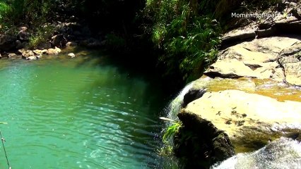 Relaxing Music Video