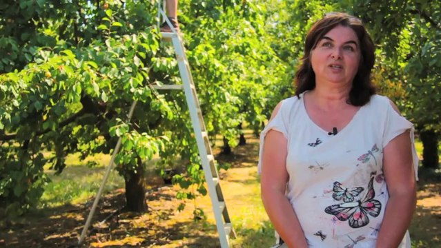 Producteurs du Pays d'Albret - Conservatoire Végétal