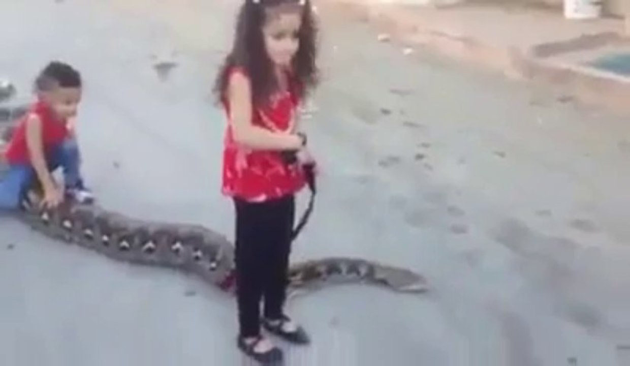 Brave Childs