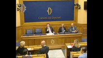 Roma - Conferenza stampa di Fucsia Fitzgerald Nissoli (06.11.13)