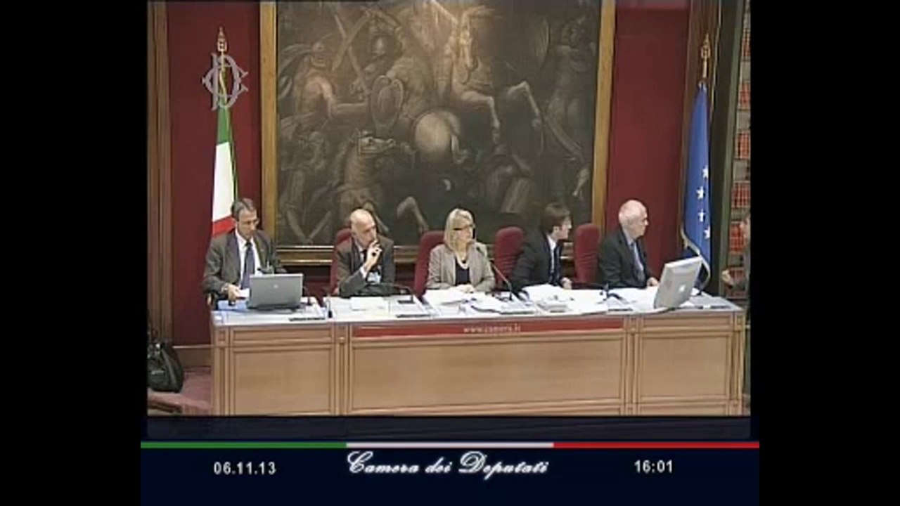 Roma - Audizione su danno ambientale (06.11.13)