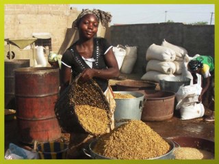 Rencontres internationales Afdi 2013