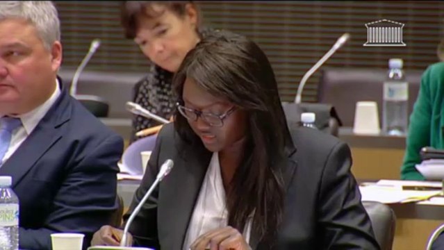 Seybah Dagoma - PLF 2014 - Crédits du Commerce extérieur - 6 novembre 2013