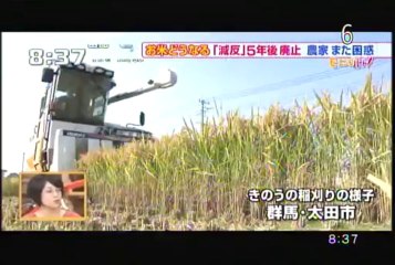 コメ政策 40年ぶりに大転換 「減反」 5年後に廃止 お米どうなる？／モーニングバード