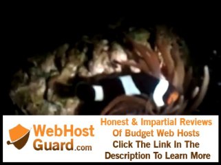 A Hosting we will go...