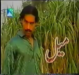 WTH .. Which Type of this Add Lolz