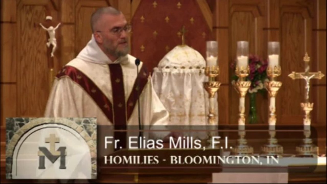 Nov 08 - Homily: Immaculate Scotism