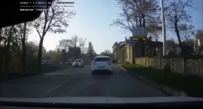 CHIEN sur passage piéton... Le toutou la plus prudent du monde!