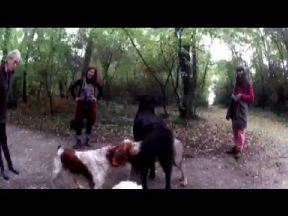 Comment se cacher.... ?