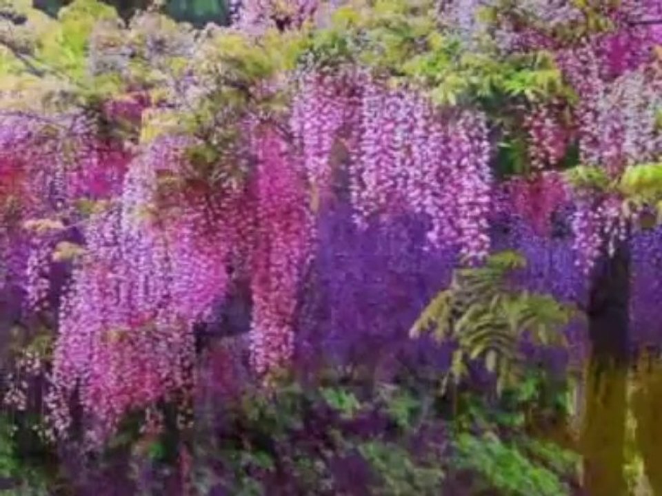 Adieu l'enfance Nicolas De Angelis