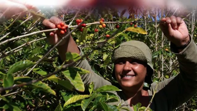 Free NinjaTrader Indicator | Omni Bar Timer from Indicator Warehouse