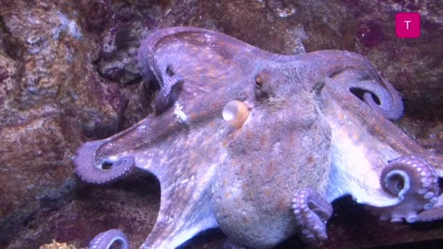 1,2,3 Splash! Verano 2013 by Krizia Robustella