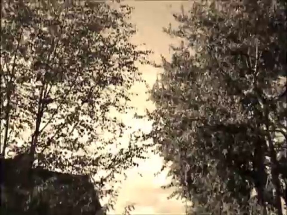 Vaincre L'Automne - acoustique -