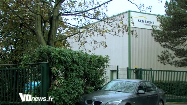 Les nouvelles entreprises à Cergy-Pontoise