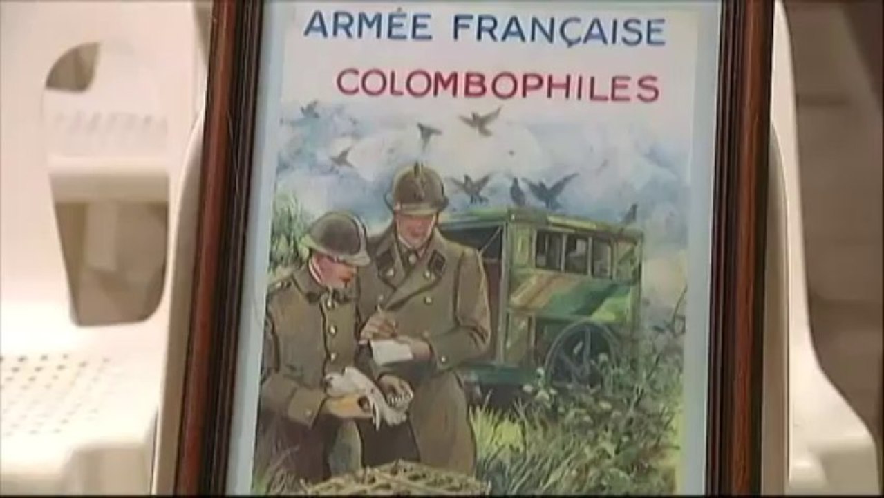 Il reste des pigeons voyageurs dans l'armée française