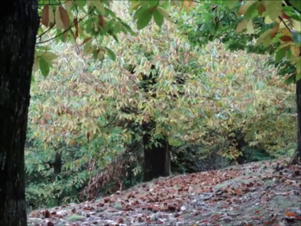 Diaporama - Le Fresquet - Octobre 2013