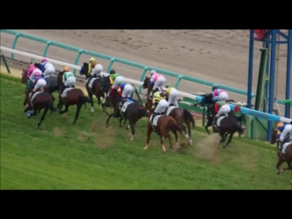 天までとどけ Ⅲ（ゆっくり歩こう千葉）