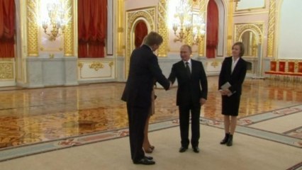 Dutch king meets Russia's Putin