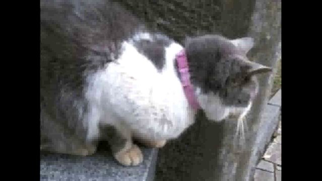 TBSラジオDig「遠隔操作ウイルス事件。」2013.2.28