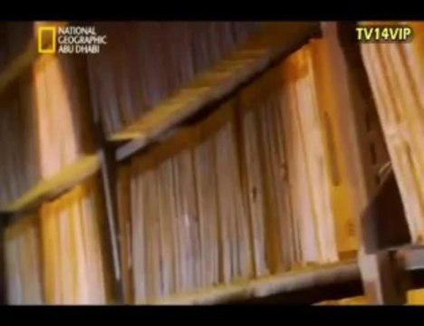 تاريخ لاينسئ قنبلة هيروشيما - عدد الضحايا 70 ألف ... و70 ألف جريح الجزء الثاني