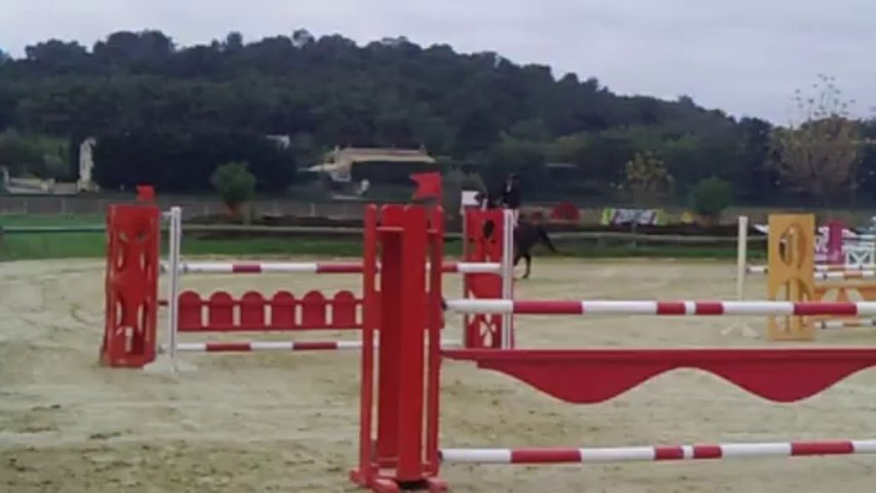 Septical Duck 1m20 st Paul 3 chateaux