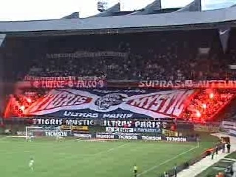 Tigris Mystic Ultras Paris