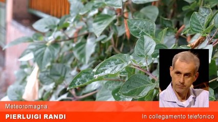 Rimini: in arrivo il primo freddo novembrino