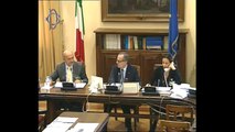 Roma - Audizioni su organizzazione forze armate (07.11.13)
