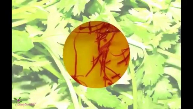 AGENT PROVOCATEUR Eau Emotionnelle Туалетна Вода-Спрей