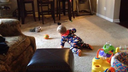 Un chien vol le jouet d'un bébé qui galère pour l'attraper