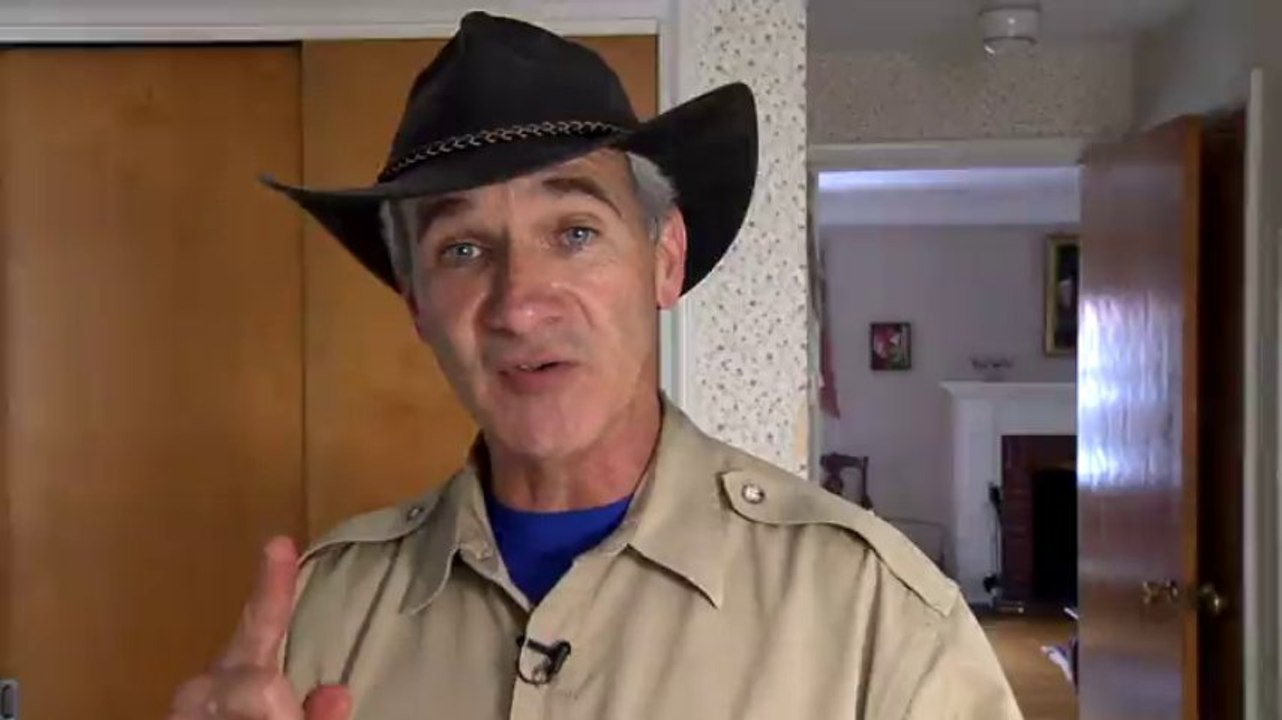 TERRO PreFilled Liquid Ant Killer II Baits