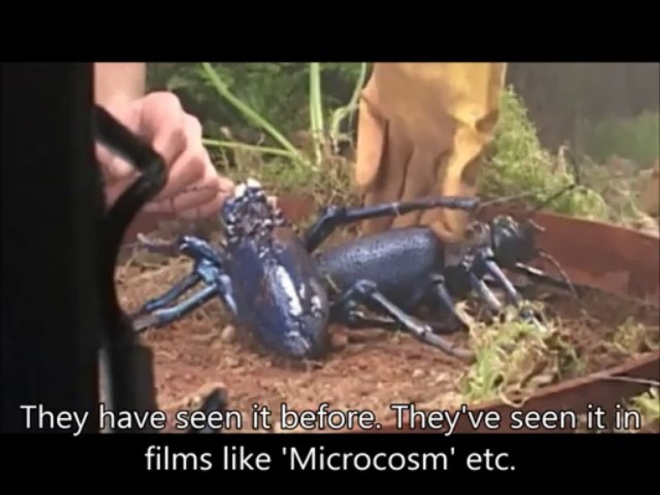 Rammstein- Making of Links 234 with translations