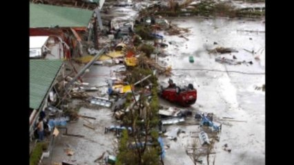 Typhoon causes extensive damage