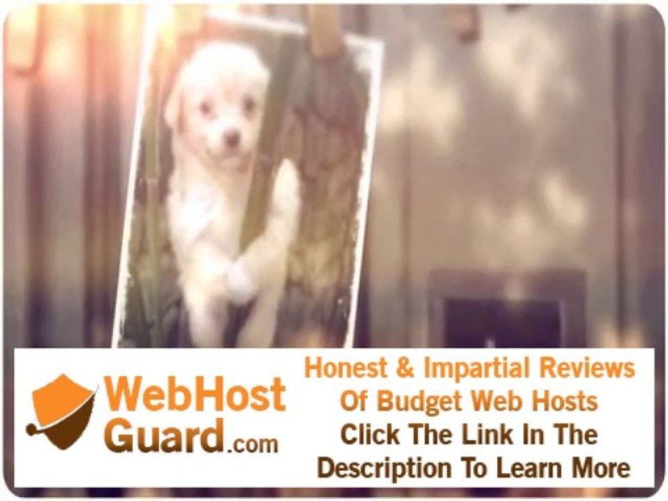 www.DomainDog.org Special Domains and Hosting for your DOG and other pets $3.99