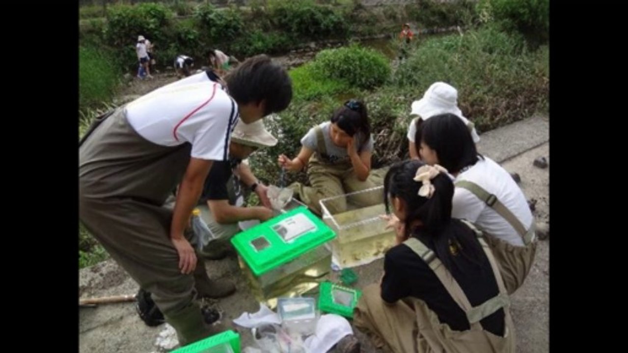 部活動紹介
