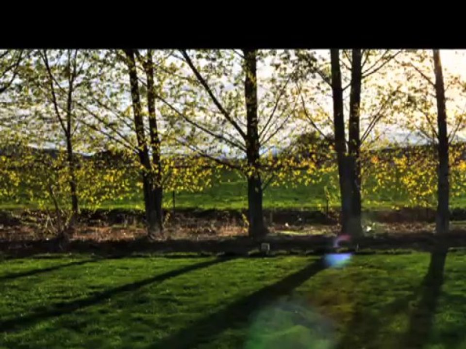 Emergency Tree Service Yardley & Morrisville Pennsylvania