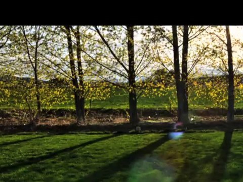 Emergency Tree Service Yardley & Morrisville Pennsylvania