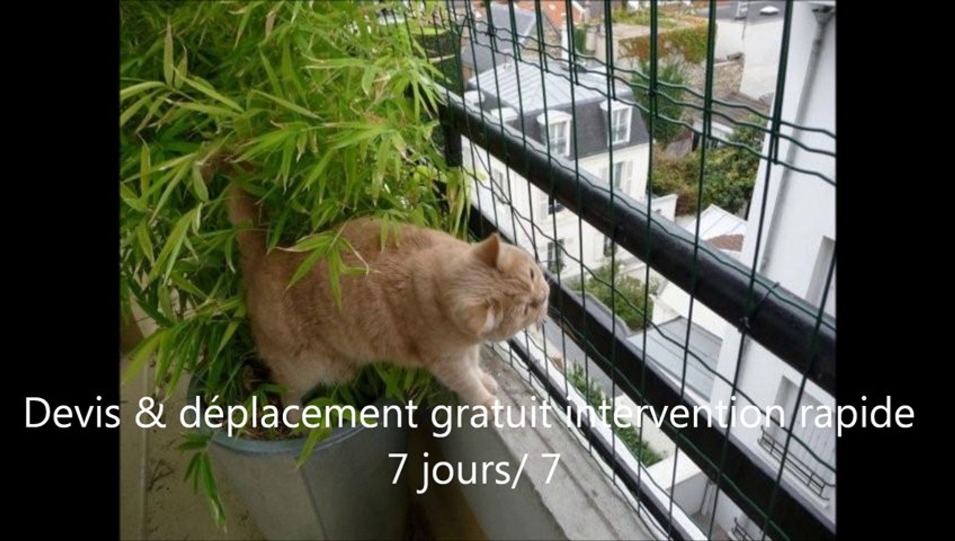 Pagani Fils Installateur De Filet De Securite Pour Chat Sur Les Balcon Fenetre Et Jardins Video Dailymotion