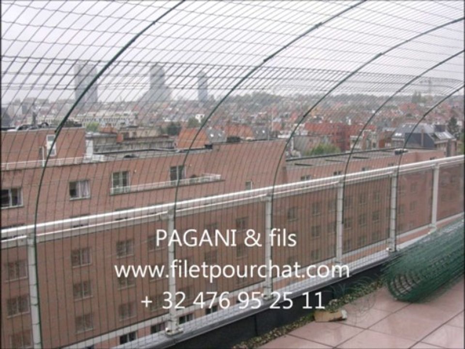 CLOTURE ANTI FUGUE POUR CHAT PAGANI