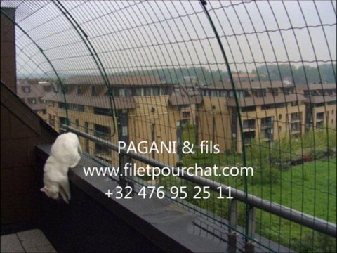 installateur de filet de securité anti chute pour chat fugeurs sur les balcon , fenêtre et jardins