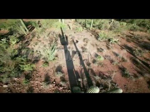 TOYGAR IŞIKLI HAYAT GİBİ