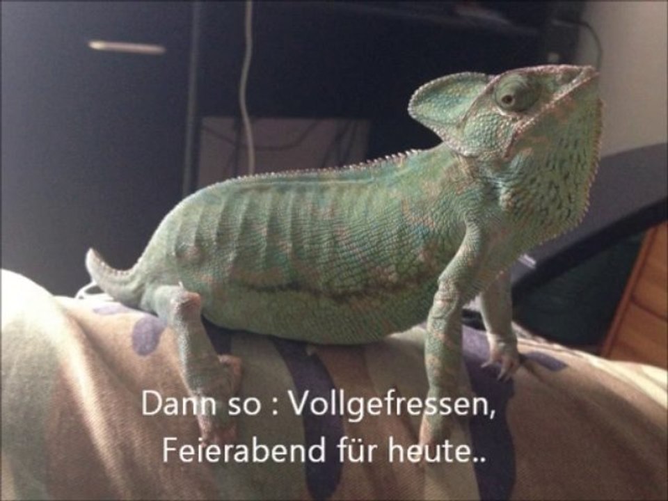 Big Boy Joe eatin sum..