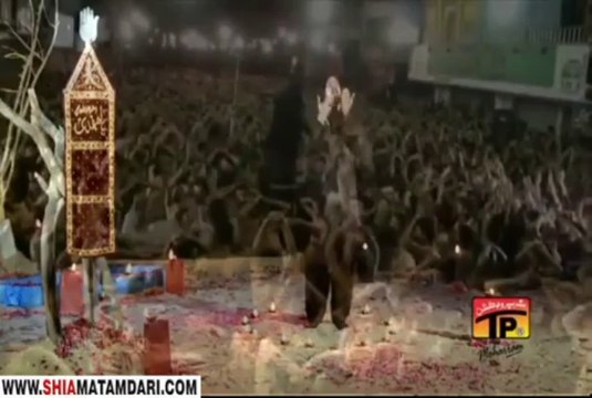AIE GUL E NARJIS(S.A) BIYA - IRFAN HAIDER 2014 ShiaMatamdari.com